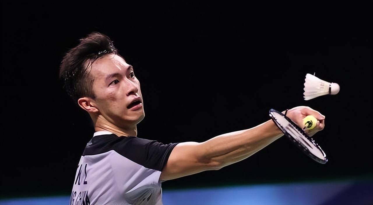 球迷和专家 球迷和专家